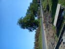 DSC00016~8.JPG