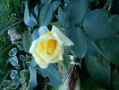 DSC00031~3.JPG