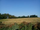 DSC00040~3.JPG