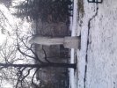 24022010026.JPG