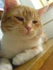 DSC00041.jpg