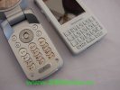 Resize of DSC00704.JPG